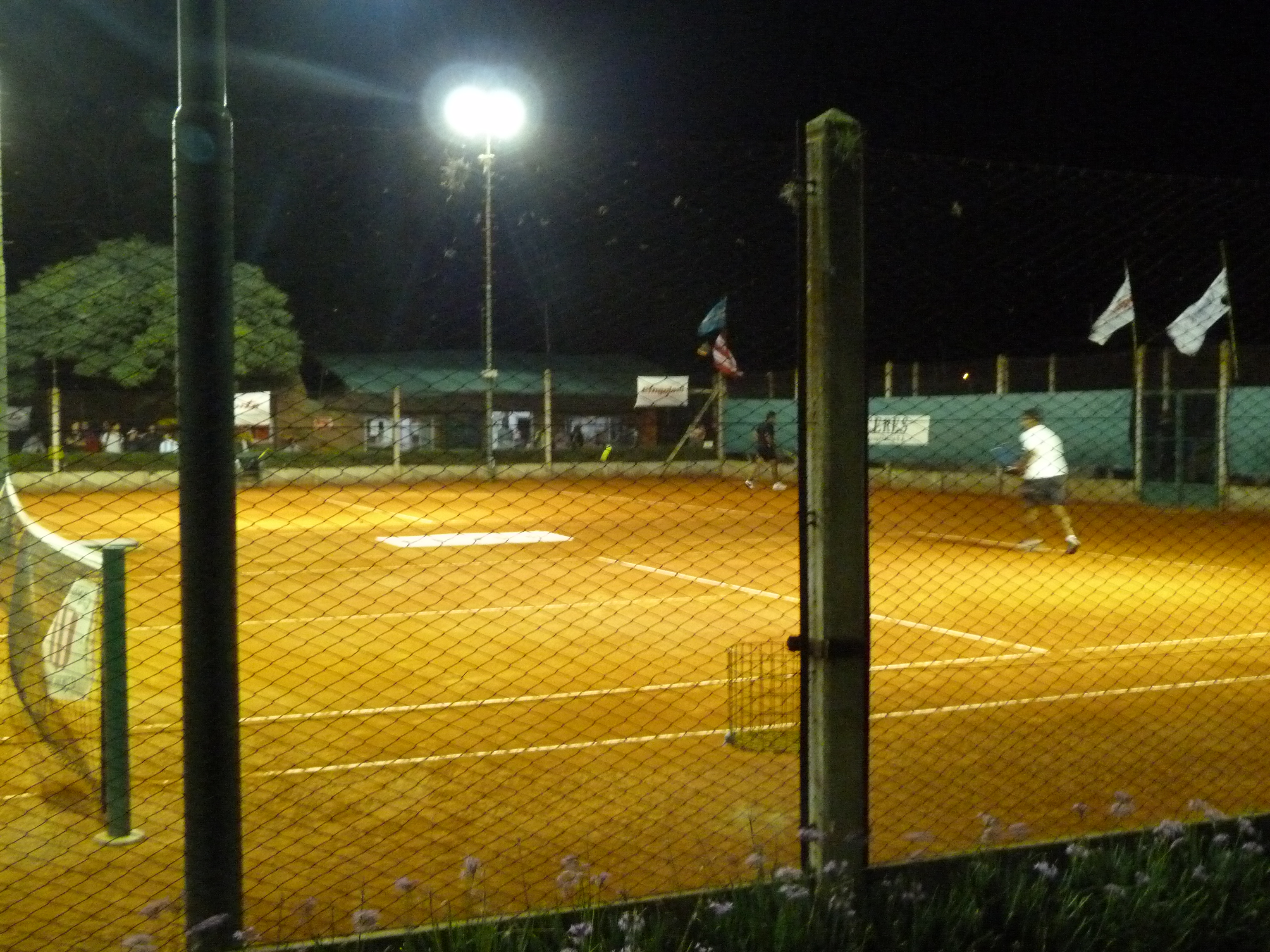 vista nocturna
