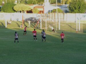 foto gol