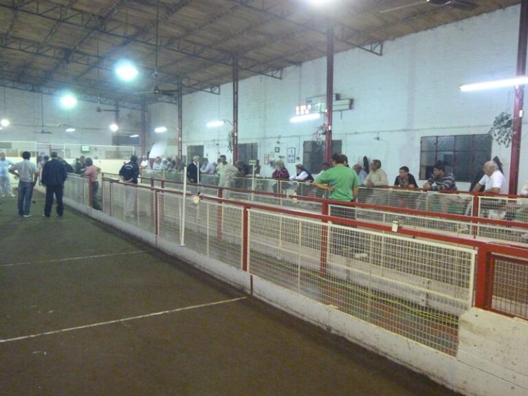 Torneo zonal de Bochas