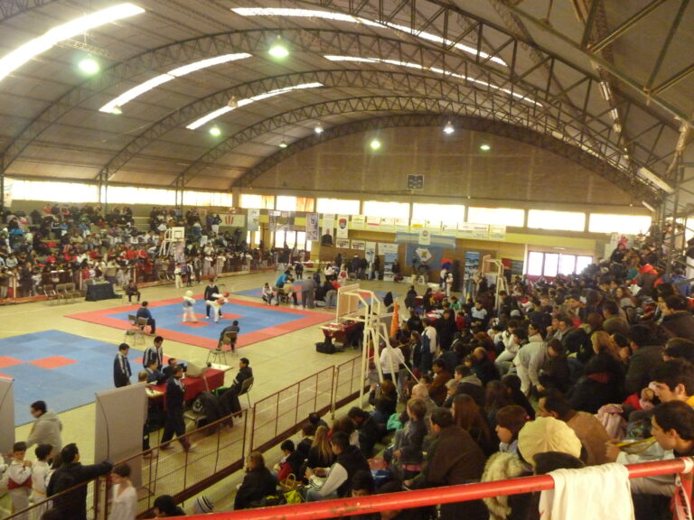Se  disputó en el Club el Torneo Provincial de Taekwon do
