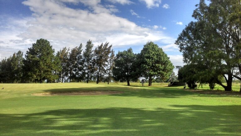 Mucha actividad en el Campo de Golf