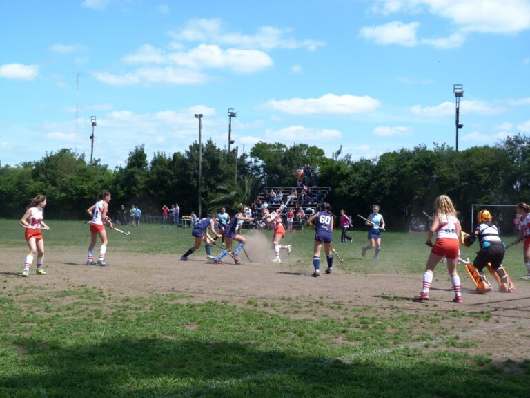 Se inicia la temporada 2015 de Hockey