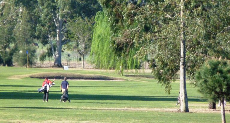Se disputó el Torneo de Golf clausura del año