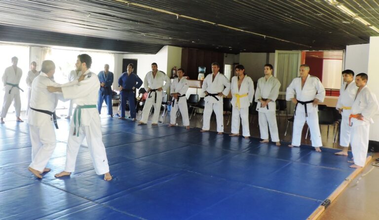 Importante Clínica de Judo