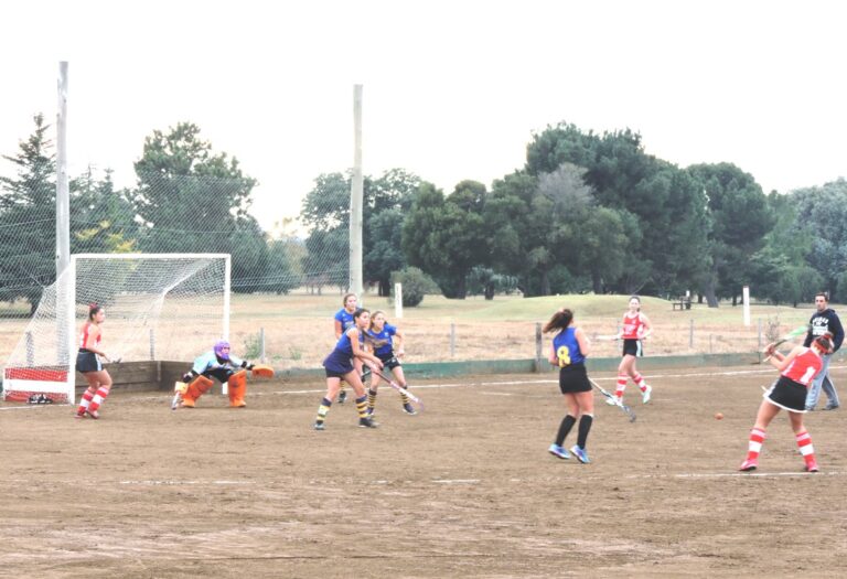 Jornada muy positiva para el Hockey de Atlético.