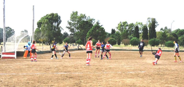 Gran actividad registra el Hockey Millonario