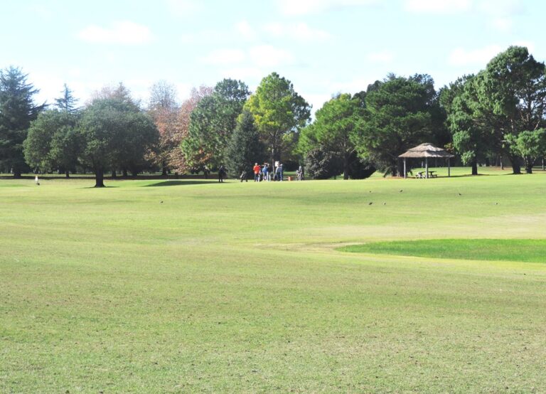 El equipo de Golf del Club ascendió a 1ª. Menores campeones