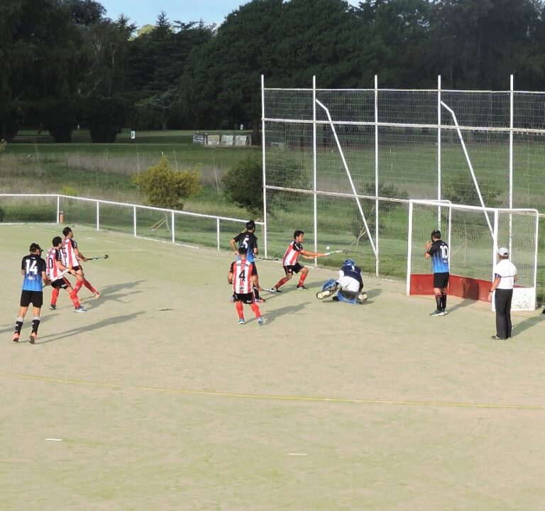 Reorganización y pretemporada del Hockey en el Club