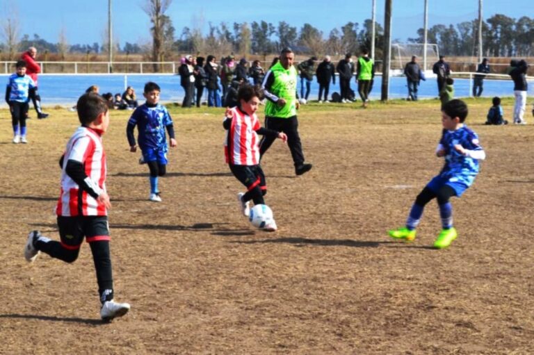 Triunfos Millonarios en Copas Infantiles de futbol y en el torneo de la Liga