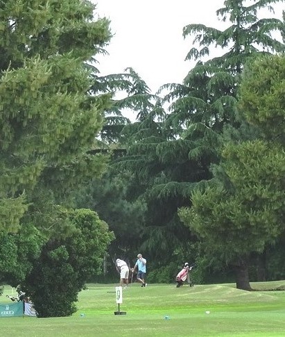 Torneo de Golf Zonal de Menores. Nueva sub comisión de Golf